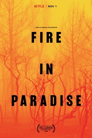 Nonton Film Fire in Paradise (2019) Terbaru