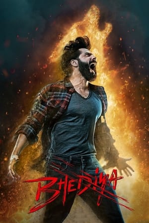 Nonton Film Bhediya (2022) Terbaru Nonton Film Bhediya (2022) Terbaru