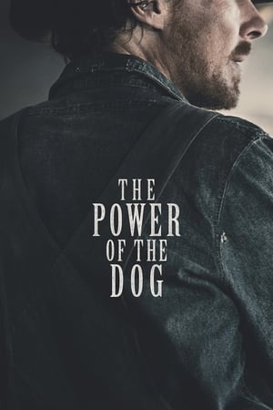 Nonton Film The Power of the Dog (2021) Terbaru Nonton Film The Power of the Dog (2021) Terbaru