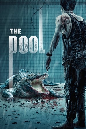 Nonton Film The Pool (2018) Terbaru