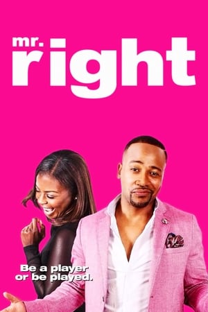 Nonton Film Mr. Right (2015) Terbaru Nonton Film Mr. Right (2015) Terbaru