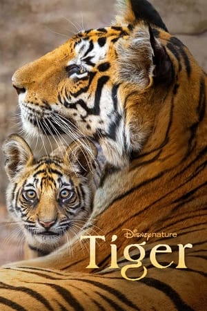Nonton Film Tiger (2024) Terbaru Nonton Film Tiger (2024) Terbaru