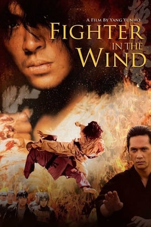 Nonton Film Fighter in the Wind (2004) Terbaru