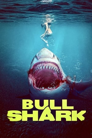Nonton Film Bull Shark (2022) Terbaru Nonton Film Bull Shark (2022) Terbaru